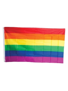 Colourful LGBT flag from Mister B