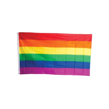Colourful LGBT flag from Mister B