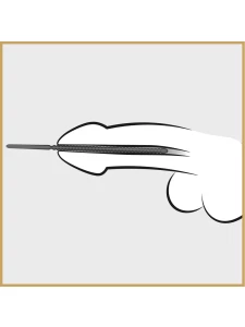 Dilatateur urétral Penis Plug en acier inoxydable