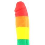 Image of a Dildo Coloured Pride Edition 8" from NS Novelties