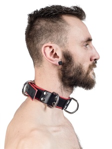 Image of the Mister B Genuine Leather BDSM Necklace