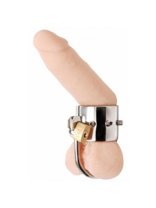 Immagine di un anello per il pene in metallo Black Label per il BDSM