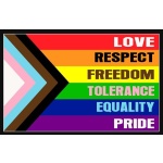 Multicoloured Pride of Progress flag