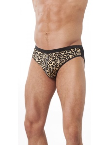 Man wearing the sexy leopard briefs with zip from Amorable by Rimba