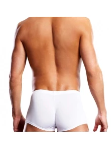 Image of the Sexy White Boxer Brief Blue Line