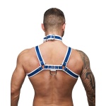 Image of the Mister B leather BDSM collar, a unique and colourful bondage accessory