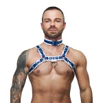 Image of the Mister B leather BDSM collar, a unique and colourful bondage accessory