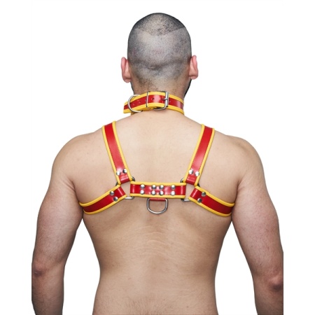 BDSM-Halsband aus rotem und gelbem Leder von der Marke Mister B