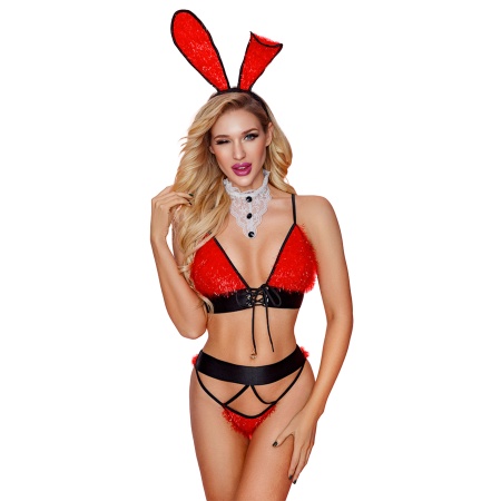 Bild des Sexy Kaninchen-Kostüms von Paris Hollywood