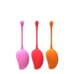 Image of the Exercise Set Geisha Balls for Perineal Reinforcement by Dream Toys