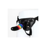 Dream Toys Rainbow Dildo with Harness