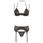 Image of the sexy 5-piece set from the Cottelli collection