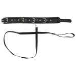 Image du Vegan Fetish - Collier et Laisse BDSM en Cuir Végétalien