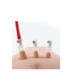 Temptasia Nipple Cups by Blush