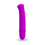 Image du Mini Vibromasseur Pretty Love Antony, un sextoy femme élégant et performant