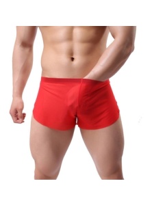 Image of the Sexy Breathable Polyester Boxer