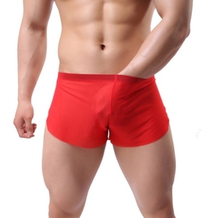 Image du Boxer Respirant Sexy en polyester