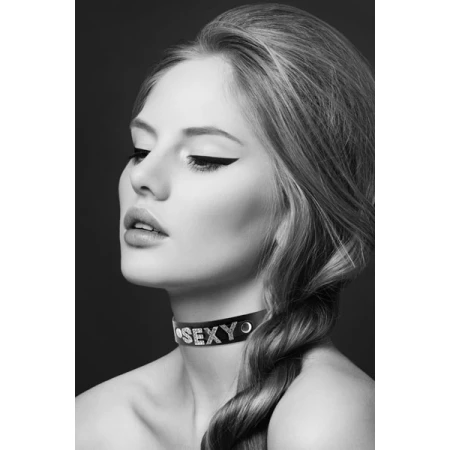 Bild der SM Leder Strass Sexy Halskette von Schmuck Für Dich