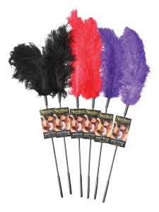 Multicoloured erotic ostrich feathers for sensual play