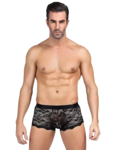Image of the Paris Hollywood Openwork Lace Boxer Brief
