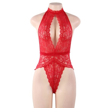 Image of the Paris Hollywood chic lace bodysuit in one size