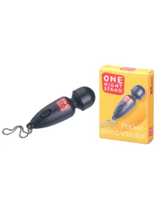 Mini pocket massager One night stand in ABS plastic