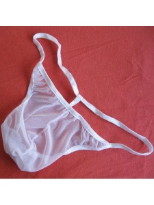 Bild von Sexy Mini Bikini String für Frauen aus transparentem Tüllstoff