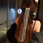 Immagine di un Barette Bijou per capelli, un elegante accessorio di moda