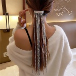 Immagine di un Barette Bijou per capelli, un elegante accessorio di moda