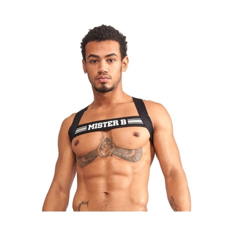 Mister B Grey Striped X-back Harness - Sexy BDSM Accessory