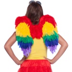 Rainbow-coloured angel wings, a sexy and fun accessory