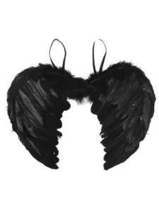 Ailes D'ange Noir – Accessoire Érotique et Sexy