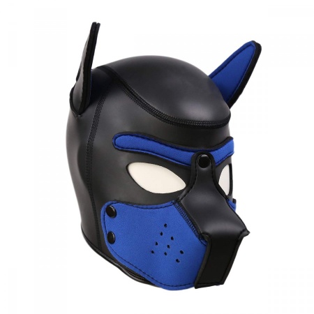 Cagoule Puppy Hood Neoprène Noir/Bleu