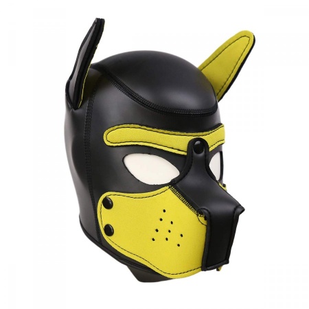 Puppy Hood Neoprene Black/Yellow - Unique accessory for animal lovers