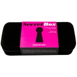 Image of the Secret Sextoys Box with Padlock from Love to Love