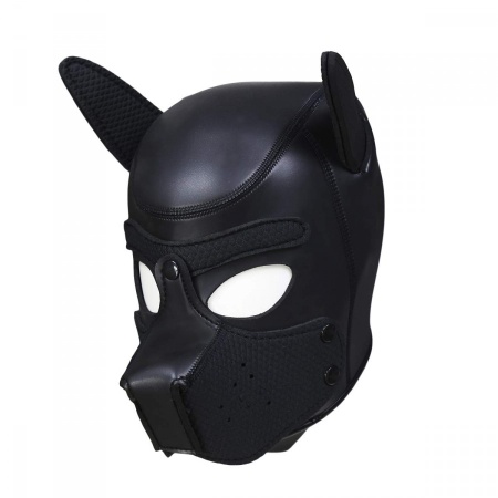Image of the Puppy Hood Neoprene Black for Pets