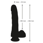 Image of the Nature Skin Dildo BIG Dong offering a realistic and intense experience