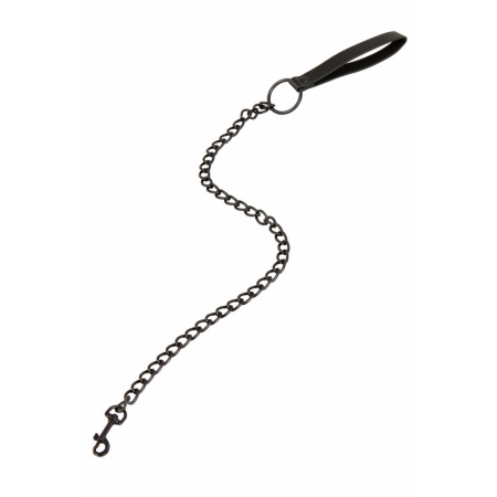 Image of a black leather-look BDSM leash