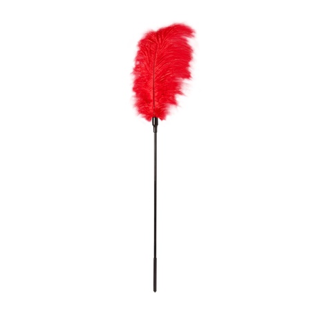 Image of the Guilty Pleasure BDSM Erotic Duster for Naughty Tickling