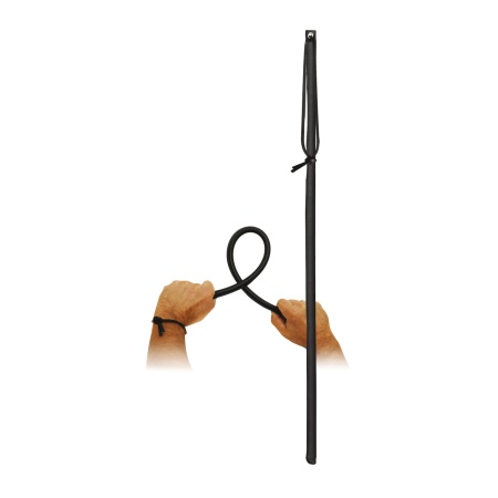 Dream Toys flexible BDSM cane for submission games