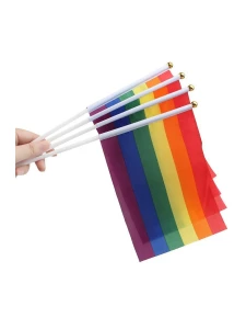 Regenbogenflagge in der Größe 16 x 21 cm