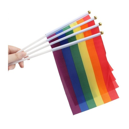 Dimensioni della bandiera arcobaleno 16 x 21 cm