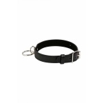 Image of a BDSM collar with leatherette fastening ring