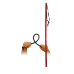Image of the Flexible Red BDSM Cane by Dream Toys
