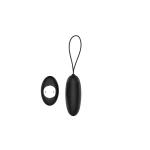 Bild des ferngesteuerten Dream Toys Vibrations-Ei aus schwarzem Silikon