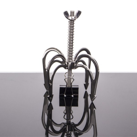Image showing Kiotos Dragon Claws, metal nipple clamp for BDSM experience