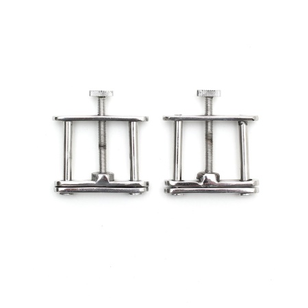 Image of Rimba Breast Clamps, in silver-plated metal