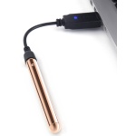 Necklace Vibe' Le Wand luxury vibrator in pink