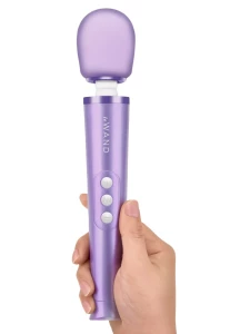 Le Wand Petite Rechargeable