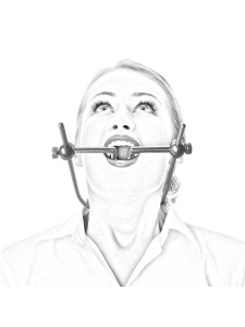 Immagine di una punta a lingua aperta in acciaio raffinato